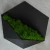 image-3.webp