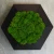 image-4.webp