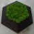image-9.webp