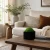 Doniczka z mchem chrobotkiem Kwarc 4.webp