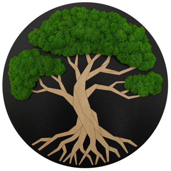 Miniatura.webp