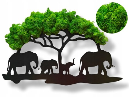 Żywy obraz z mchu chrobotka drzewo Bonsai dekoracja na ścianę