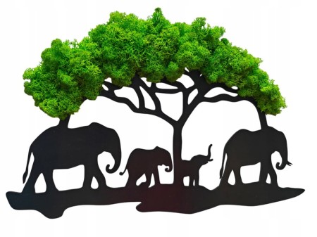 Żywy obraz z mchu chrobotka drzewo Bonsai dekoracja na ścianę