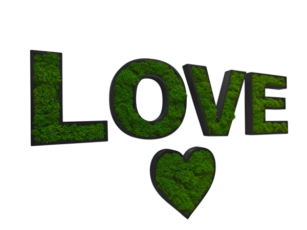 IMG20250426110019.png