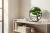 lifestyle-shot-802857c0-2927-440a-8386-35d1a3345242.webp