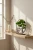 lifestyle-shot-ec9c9969-dd6f-4896-9b0a-dc36320b9b9f.webp