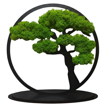 Stojący Obraz z Mchu Chrobotka Bonsai 24x24 cm | Na Biurko | FabART