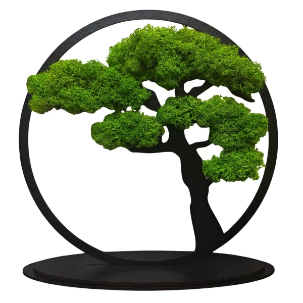 Stojący Obraz z Mchu Chrobotka Bonsai 24x24 cm | Na Biurko | FabART