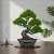 Geometryczne Bonsai z Gęstego Mchu | Stojąca Rzeźba 3D na Podstawce | FabART