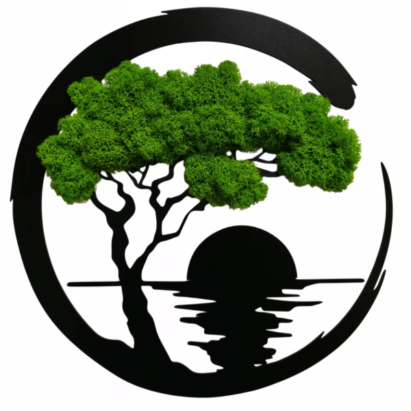 Miniatura.webp