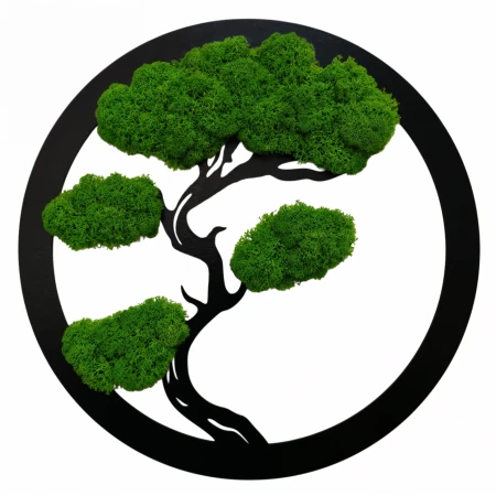 Okrągły Obraz z Mchu Chrobotka Bonsai | 35 cm lub 50 cm | FabART