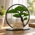 Stojący Obraz z Mchu z Personalizacją – Drzewko Bonsai